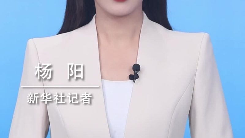 技术外包的常见陷阱与风险防范